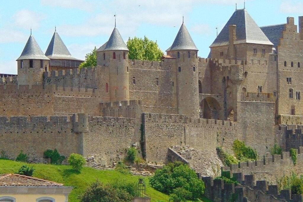 Spacieux Appartement Au Pied De La Cite Medievale Carcassonne Luaran gambar