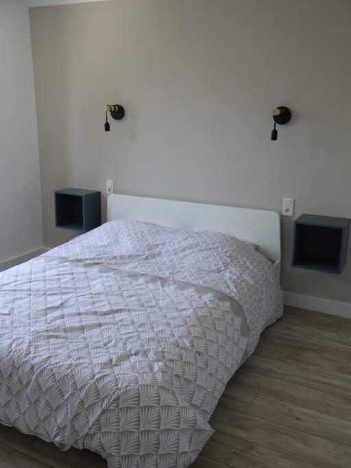 Spacieux Appartement Au Pied De La Cite Medievale Carcassonne Luaran gambar