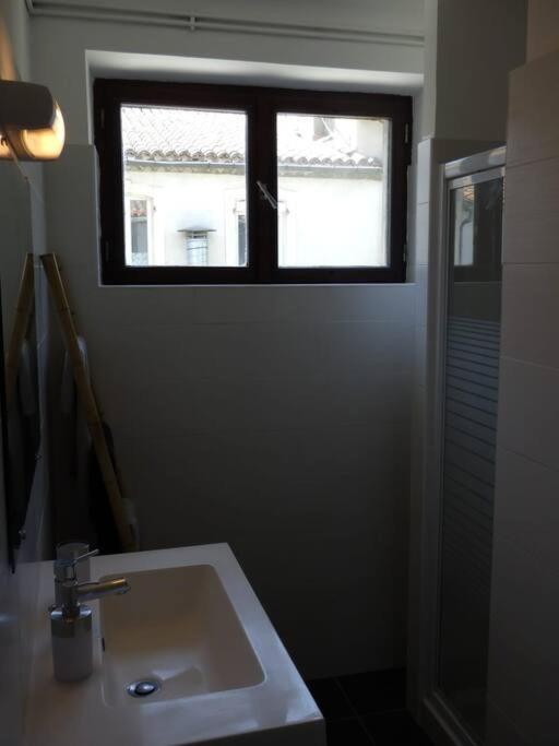 Spacieux Appartement Au Pied De La Cite Medievale Carcassonne Luaran gambar